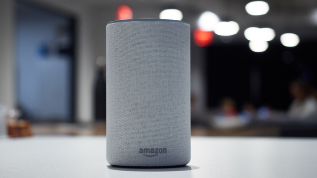 Amazon Echo | $80 | AmazonAmazon Echo + Philips Hue Starter Kit | $250 | AmazonAmazon Echo + TP-Link Smart Plug | $85 | Amazon
